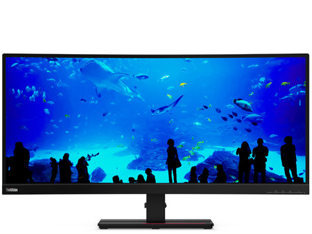 Lenovo ThinkVision T34w-20 34" A