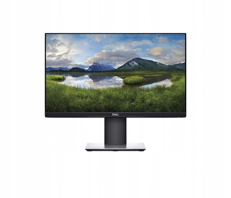 Dell Professional P2419H 24'' D