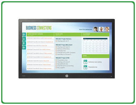 HP ProDisplay P223 W22" VA DP VGA