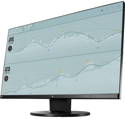 Eizo FlexScan EV2450 czarny A-