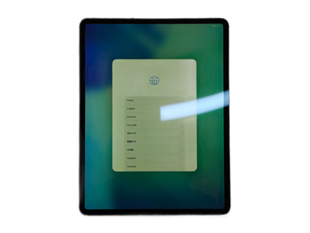 Apple iPad Pro 12.9" (4. gen) Wi-Fi +Cellular 128GB