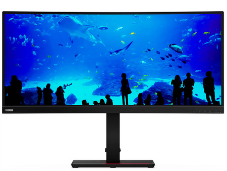 Lenovo ThinkVision T34w-20 34" A