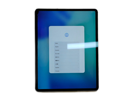 Apple iPad Pro 12.9" (4. gen) Wi-Fi +Cellular 128GB