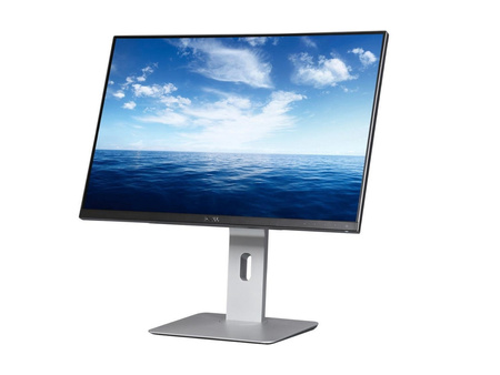 Dell UltraSharp U2415b 24" A