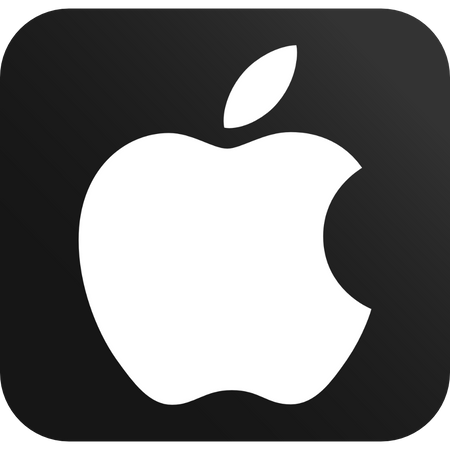 Apple MacBookPro17,1 M1 16GB RAM 256M.2 13" MacOs Sequoia