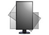 Eizo FlexScan EV2436W W24"