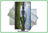 Dell Professional P2419H W24'' A+