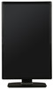 Dell U2412M 24'' B