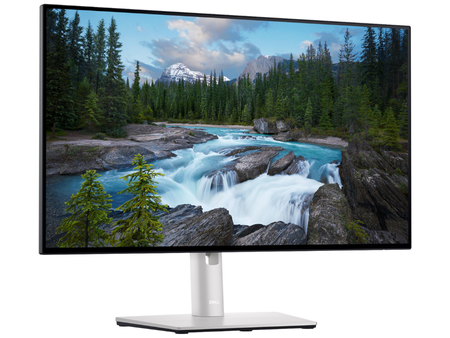 DELL U2422H 24" A-
