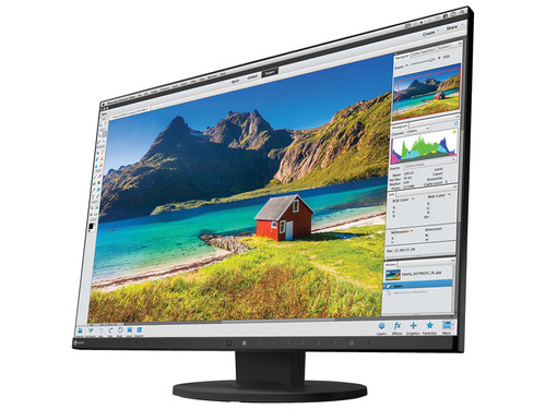 Eizo FlexScan EV2455 W24" A-