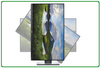 Monitor DELL Professional P2419H 24'' HDMI FULL HD A