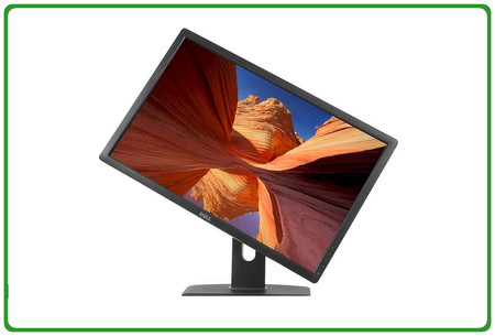 Dell Professional P2412H W24'' A