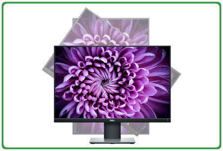 Dell P2421 24'' A-