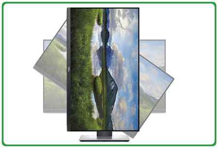 DELL Professional P2419H 24'' HDMI FULL HD A-