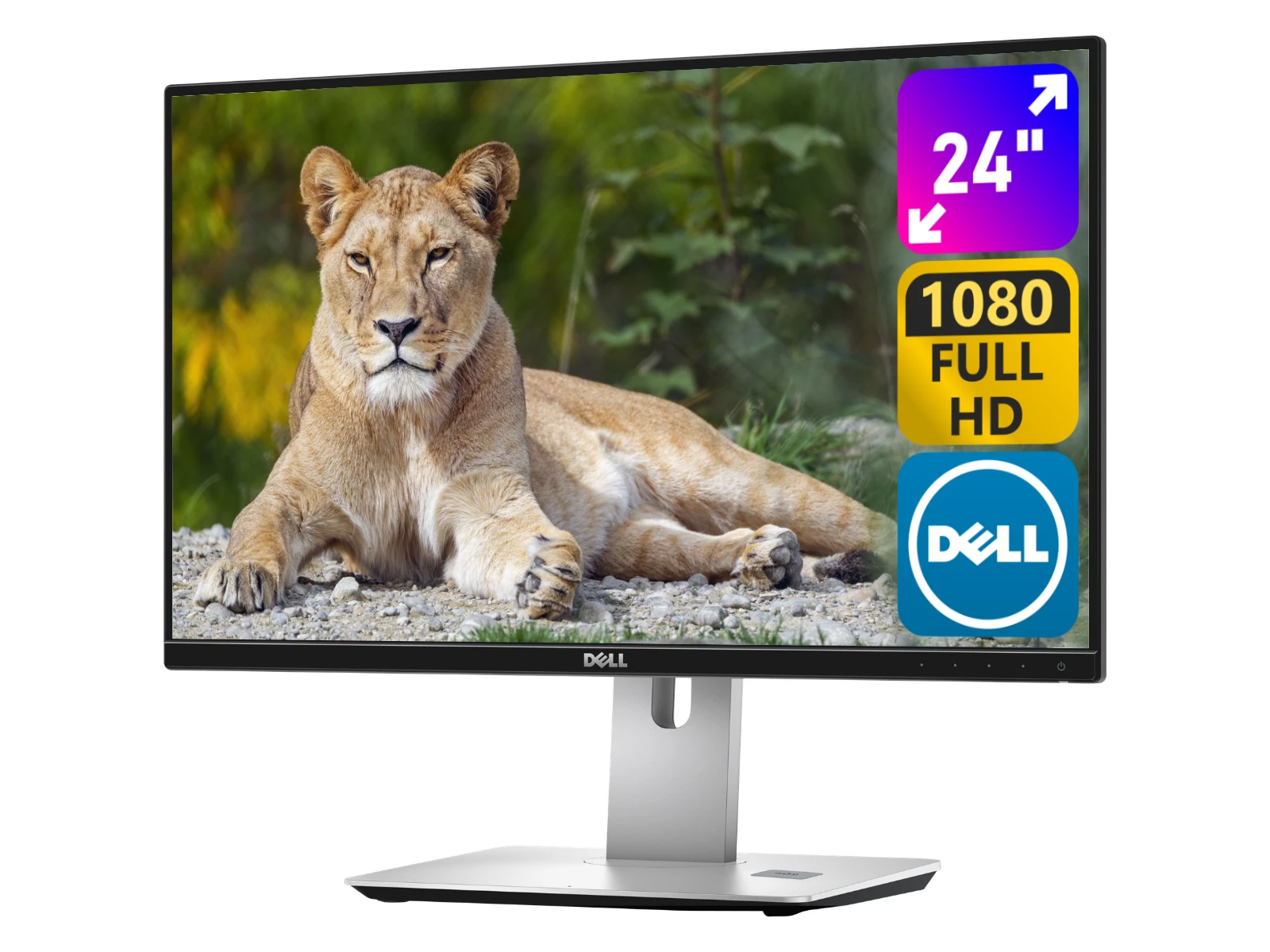 Monitor Dell U2417HJ 24'' A | Green Computers