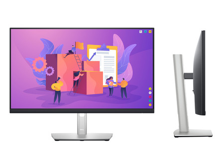 Dell P2422H 24'' A-