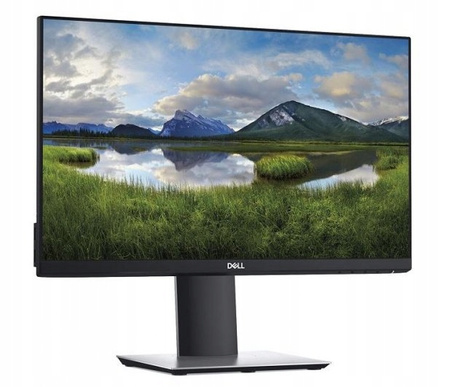 Dell Professional P2419H 24'' D
