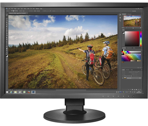 Eizo ColorEdge CS2420 W24" A-