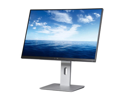 Dell UltraSharp U2415b 24" C
