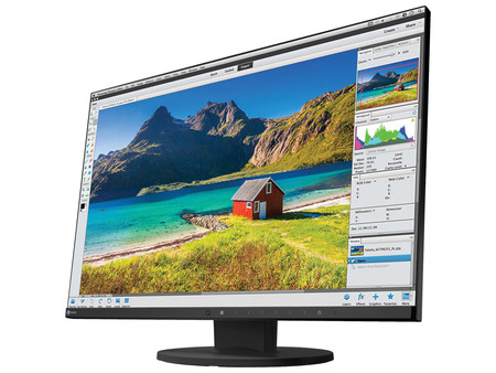 Eizo FlexScan EV2455 W24" A-