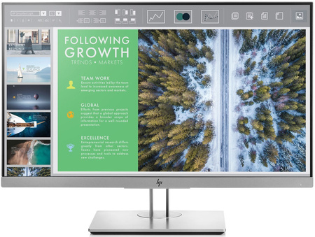 HP EliteDisplay E243 IPS 1920x1080 FULLHD HDMI DP D