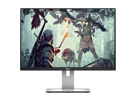 Dell UltraSharp U2415b 24" A