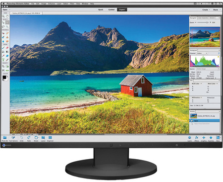 Eizo FlexScan EV2455 W24" B