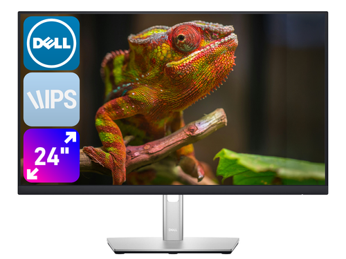 Dell P2422HE 24'' B