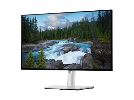 DELL U2422H 24" B