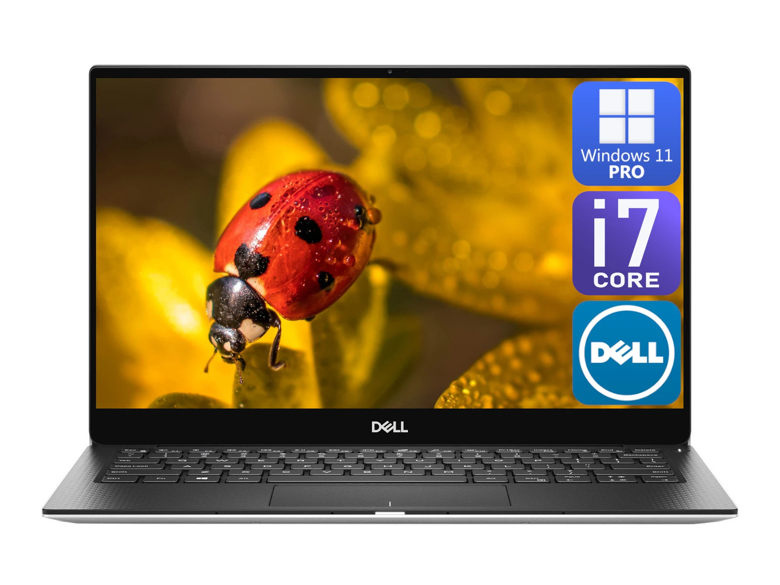Laptop Dell XPS 13 9305 i7-1165G7 16GB RAM 512GB SSD M.2 13.3” FHD 