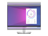 Dell P2423 24'' B