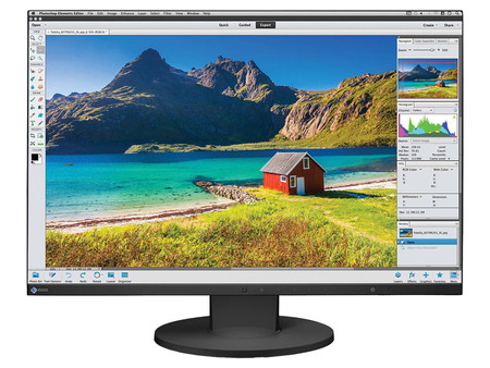 Eizo FlexScan EV2455 W24" A-
