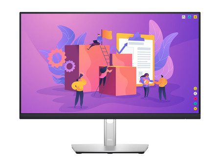Dell P2422H 24'' A-