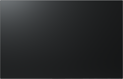 Eizo FlexScan EV2456 W24" B bez stopki