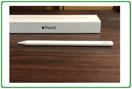 Apple Pencil Pro 2024 A2538 A