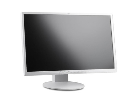 Fujitsu B24-8T 24'' A