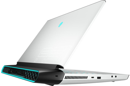 Dell Alienware 51m R2 i9-10900K 64GB 2000M.2 17" Win11Pro
