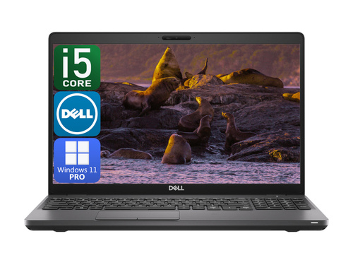 Dell 5501 i5-9400H 16GB 256M.2 15" Win11Pro