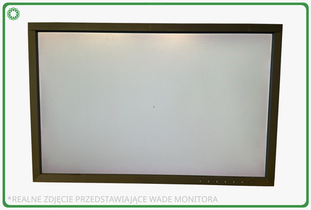 Eizo ColorEdge CS2420 W24" A-