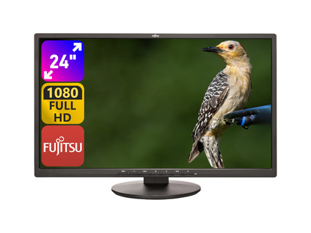 Fujitsu E24-8 TS Pro 24" A-