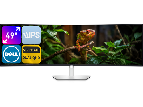 Dell U4924DW 49" A