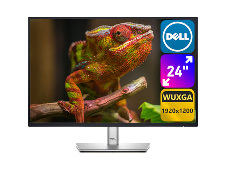 DELL P2425 24" A