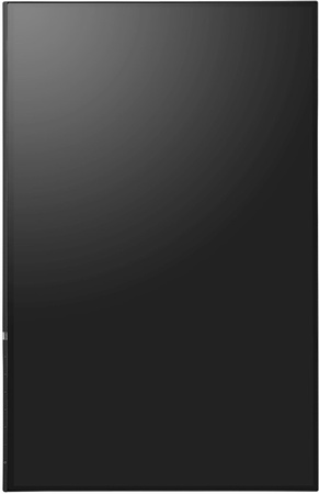 Eizo FlexScan EV2456 W24" A-