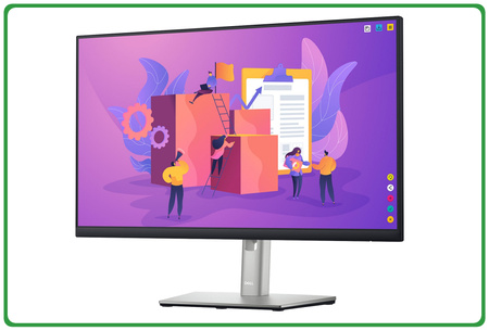 Dell P2422H 24'' A-