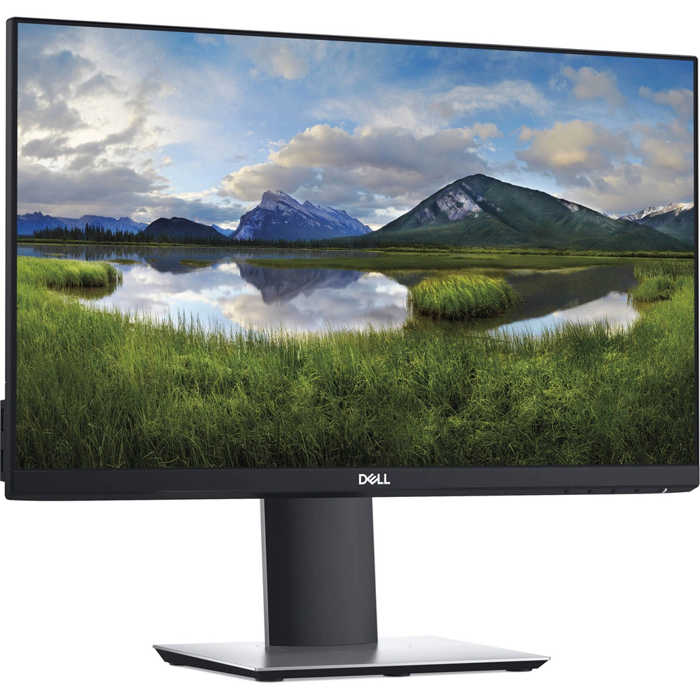 Dell P2219H W22" B