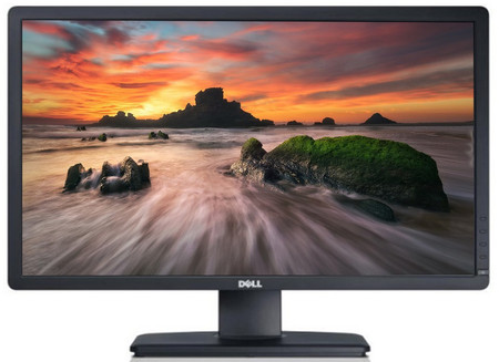 Dell Professional P2412H W24'' A