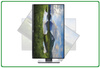 Dell P2720DC 27'' B