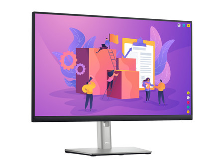 Dell P2422H 24'' A-