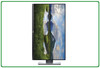 Dell P2719H W27" A