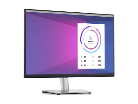 Dell P2423 24'' B